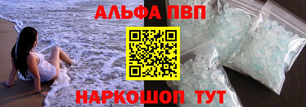 Альфа ПВП СК Грозный