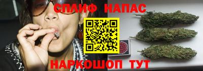 spice Краснодар
