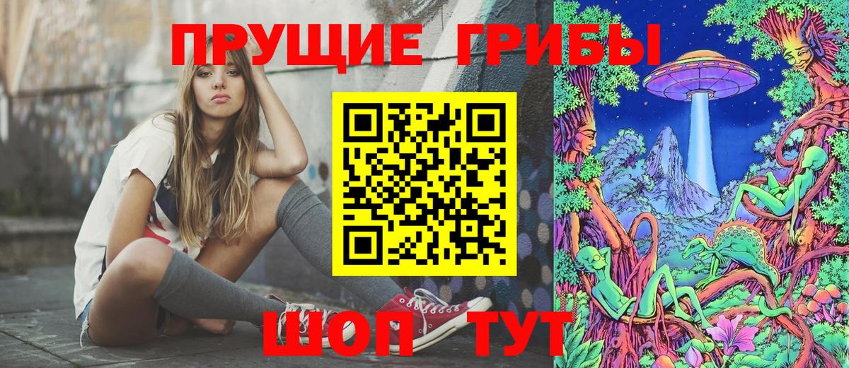 Псилоцибиновые грибы Cubensis Грозный