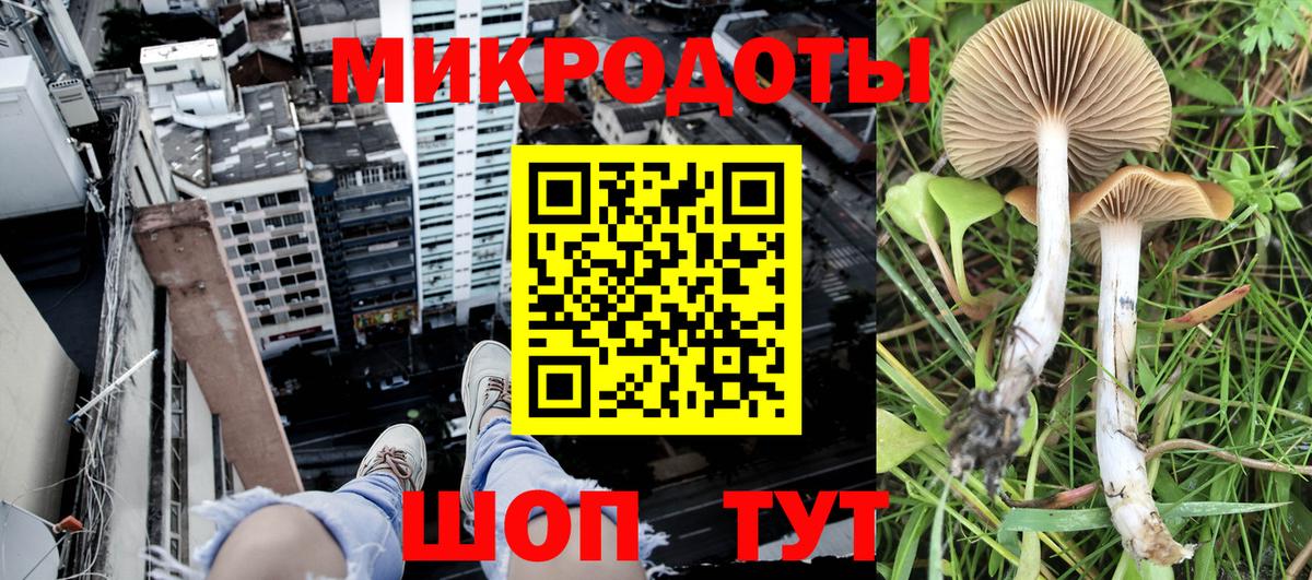 где продают наркотики  Вход с VPN  Грозный  Галлюциногенные грибы мухоморы 