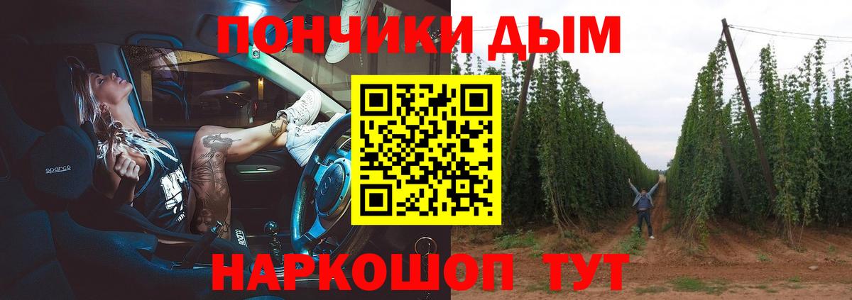 Конопля конопля Грозный
